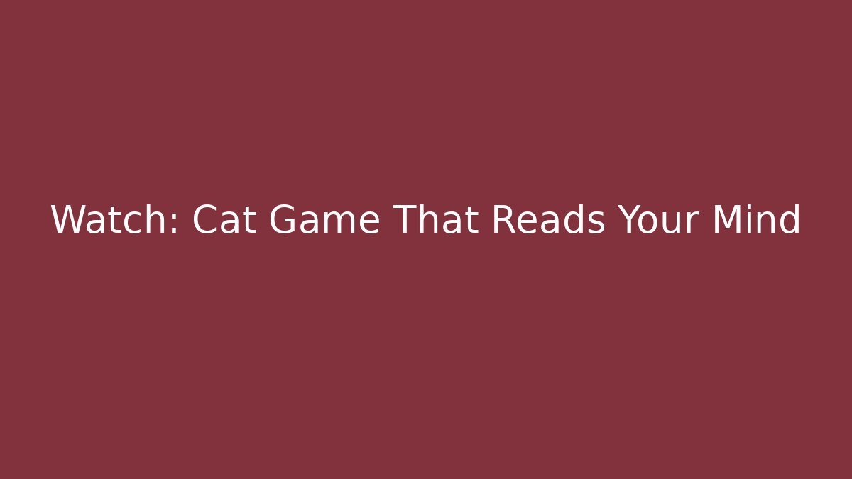 Watch: Cat Game That Reads Your Mind