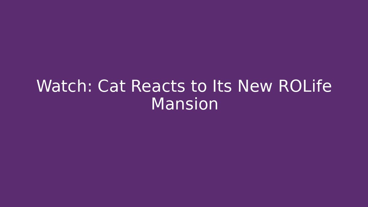 Watch: Cat Reacts to Its New ROLife Mansion