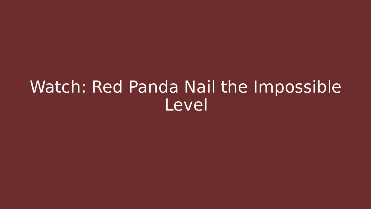 Watch: Red Panda Nail the Impossible Level