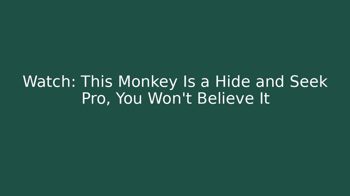 Watch: This Monkey Is a Hide and Seek Pro, You Won't Believe It