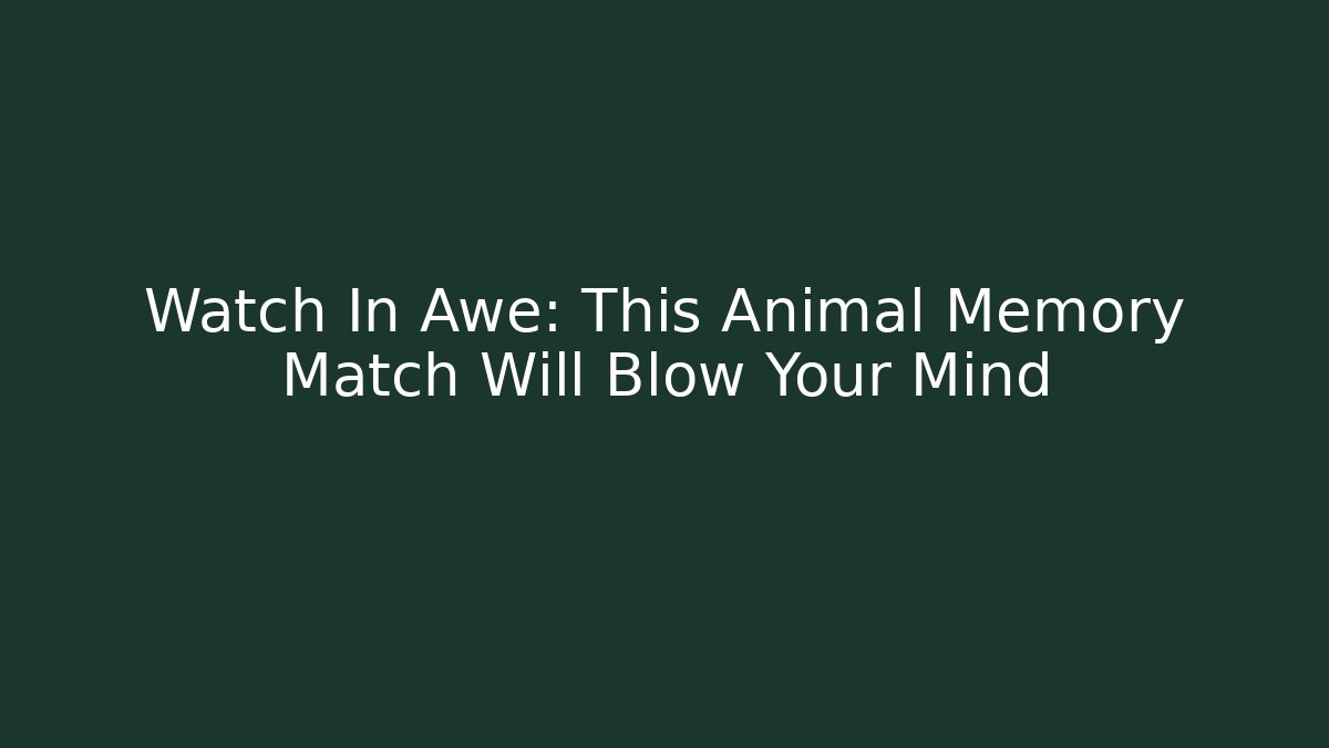 Watch In Awe: This Animal Memory Match Will Blow Your Mind