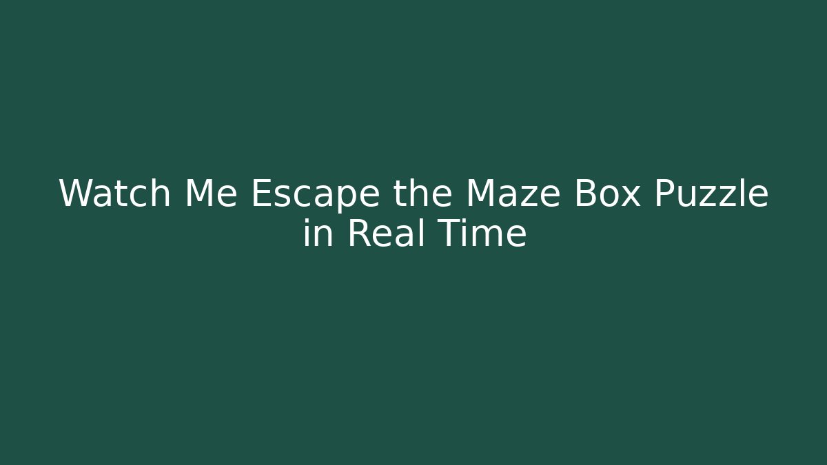 Watch Me Escape the Maze Box Puzzle in Real Time