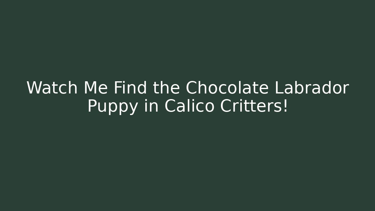 Watch Me Find the Chocolate Labrador Puppy in Calico Critters!