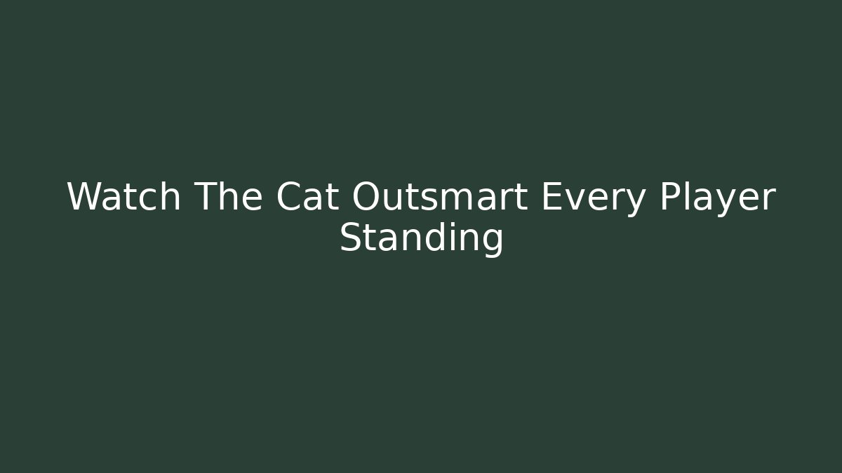 Watch The Cat Outsmart Every Player Standing