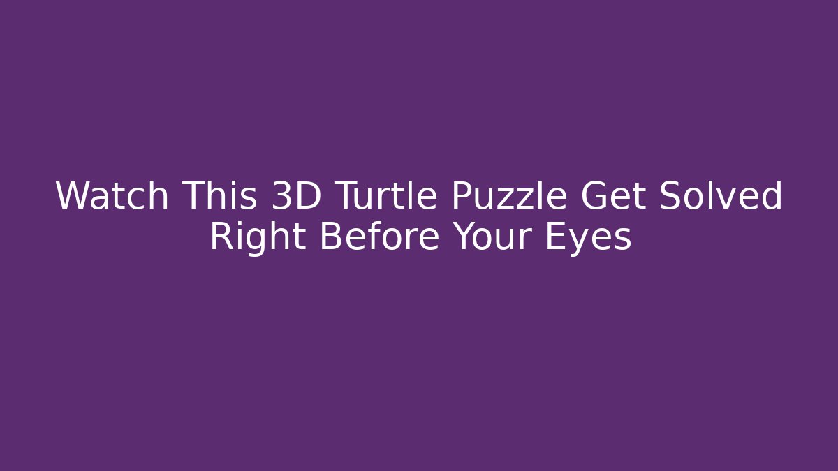 Watch This 3D Turtle Puzzle Get Solved Right Before Your Eyes