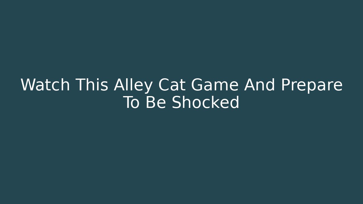 Watch This Alley Cat Game And Prepare To Be Shocked