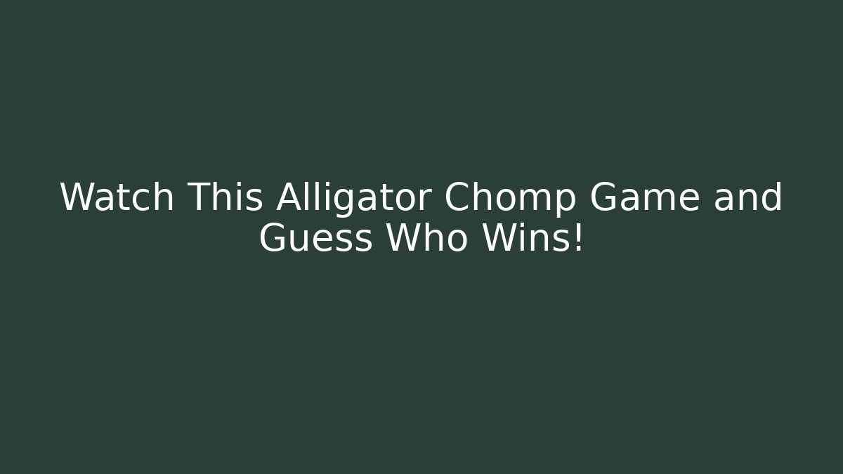 Watch This Alligator Chomp Game and Guess Who Wins!