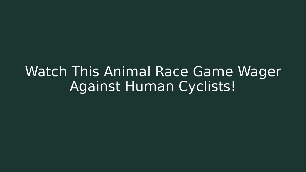 Watch This Animal Race Game Wager Against Human Cyclists!