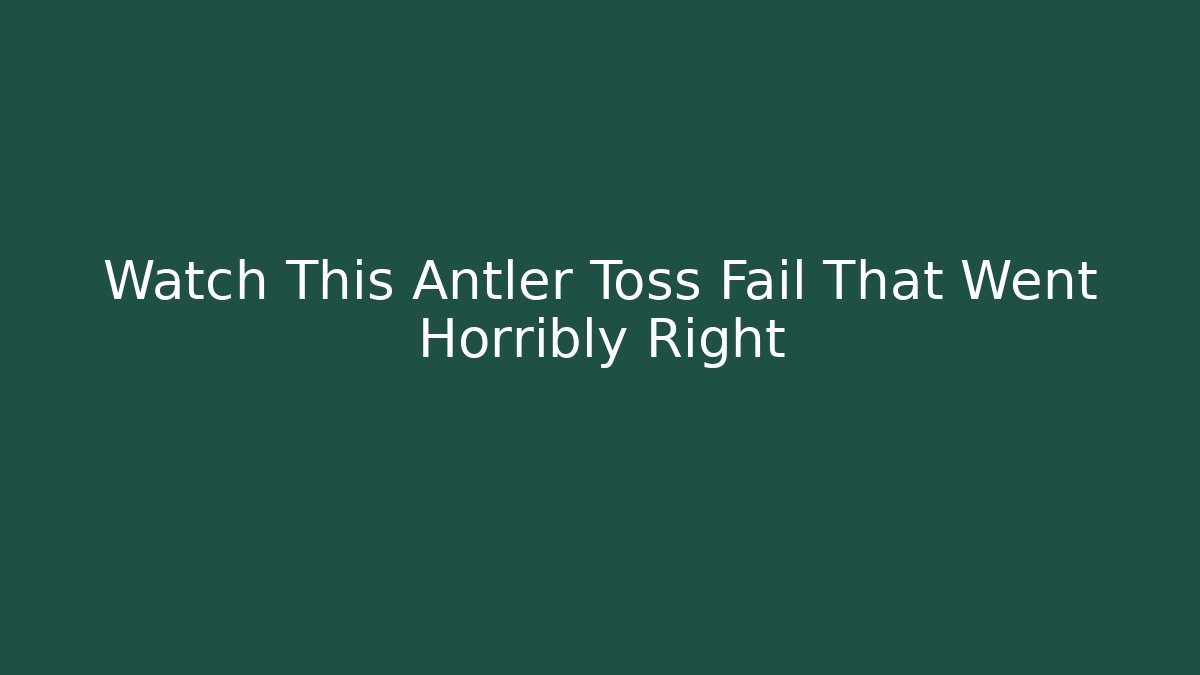 Watch This Antler Toss Fail That Went Horribly Right