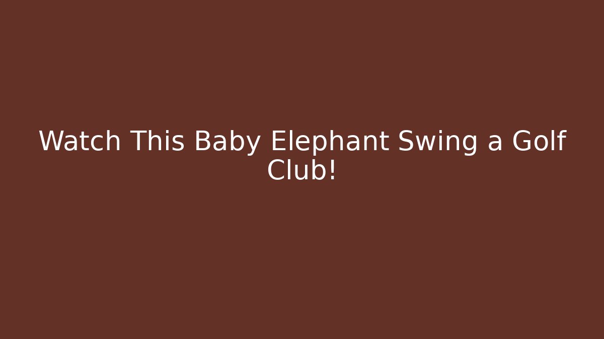 Watch This Baby Elephant Swing a Golf Club!