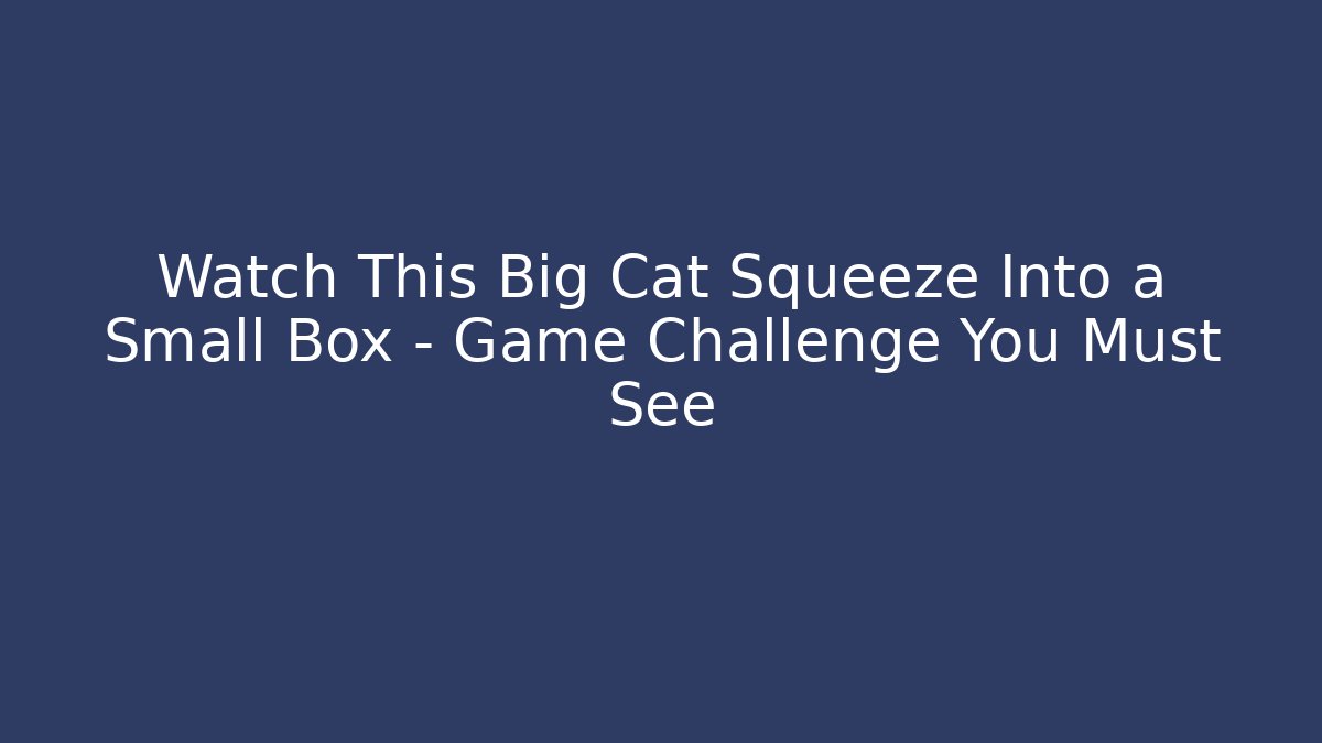 Watch This Big Cat Squeeze Into a Small Box - Game Challenge You Must See