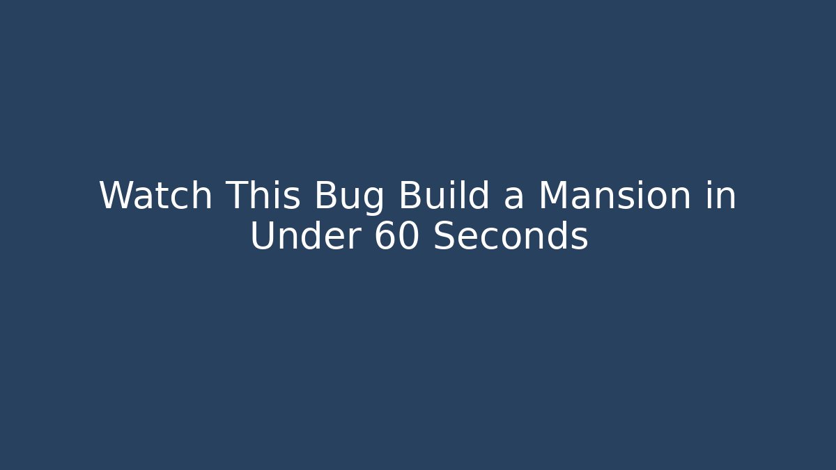 Watch This Bug Build a Mansion in Under 60 Seconds