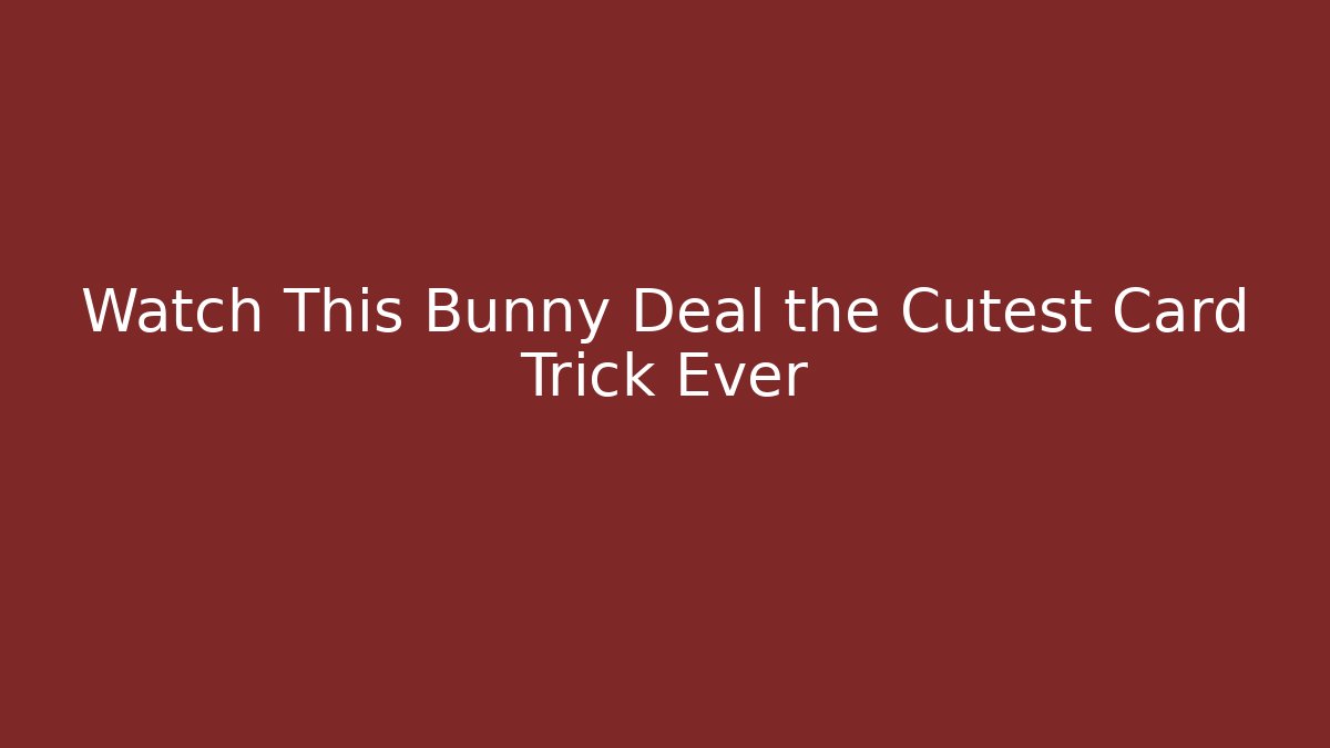 Watch This Bunny Deal the Cutest Card Trick Ever