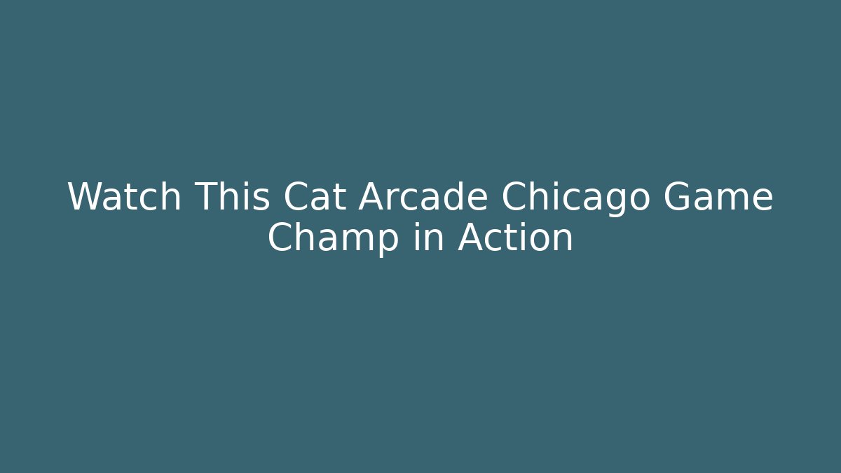 Watch This Cat Arcade Chicago Game Champ in Action - Critter Realm
