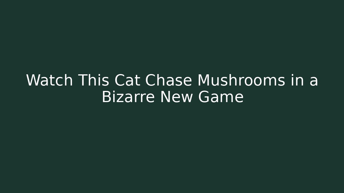 Watch This Cat Chase Mushrooms in a Bizarre New Game