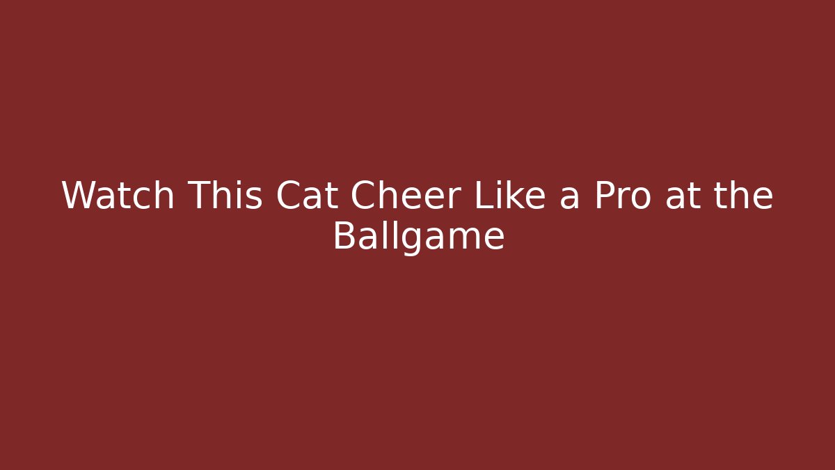 Watch This Cat Cheer Like a Pro at the Ballgame