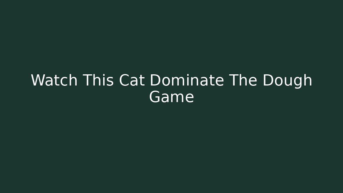 Watch This Cat Dominate The Dough Game