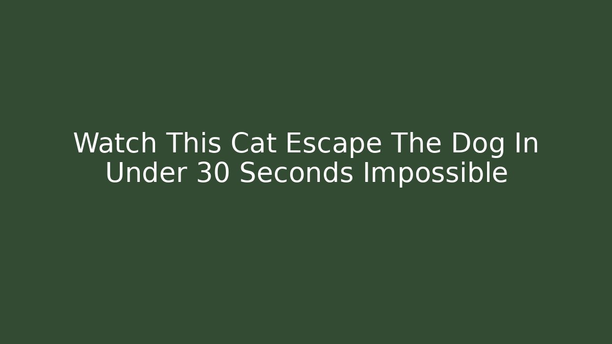 Watch This Cat Escape The Dog In Under 30 Seconds Impossible - Critter Realm