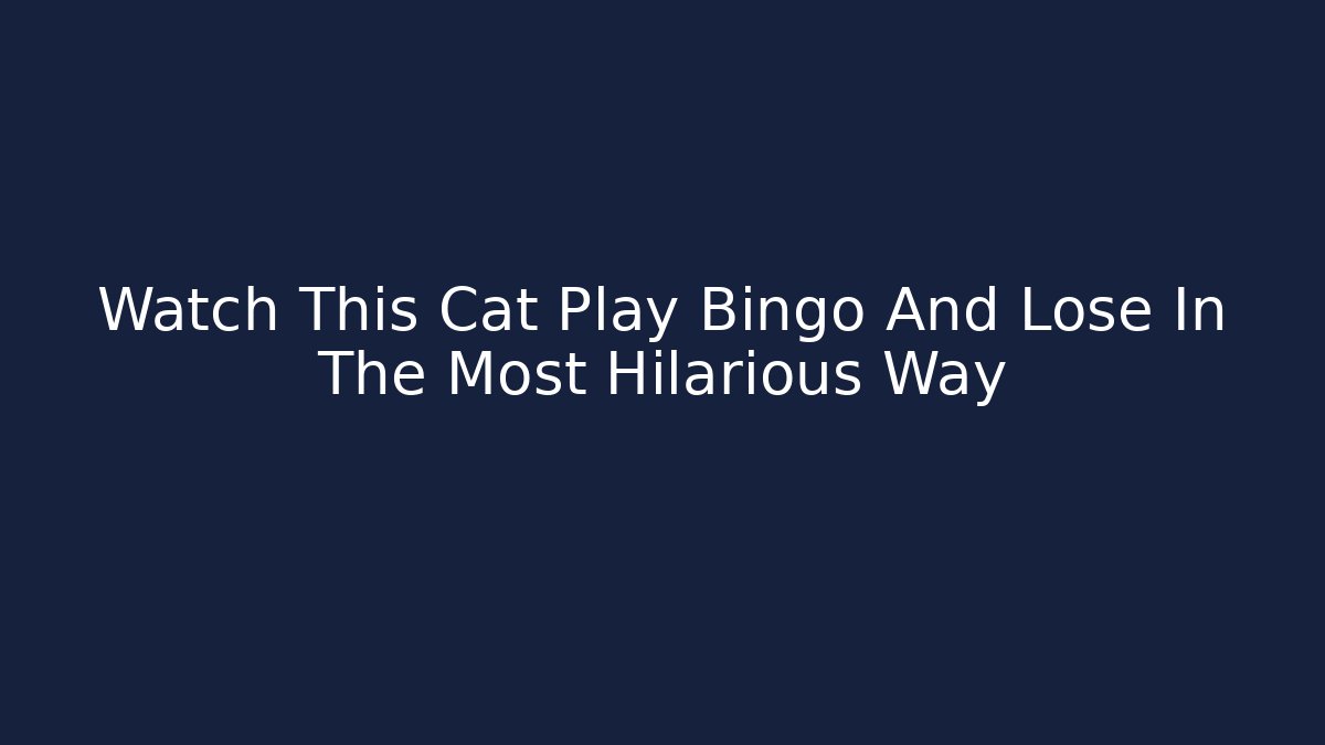 Watch This Cat Play Bingo And Lose In The Most Hilarious Way