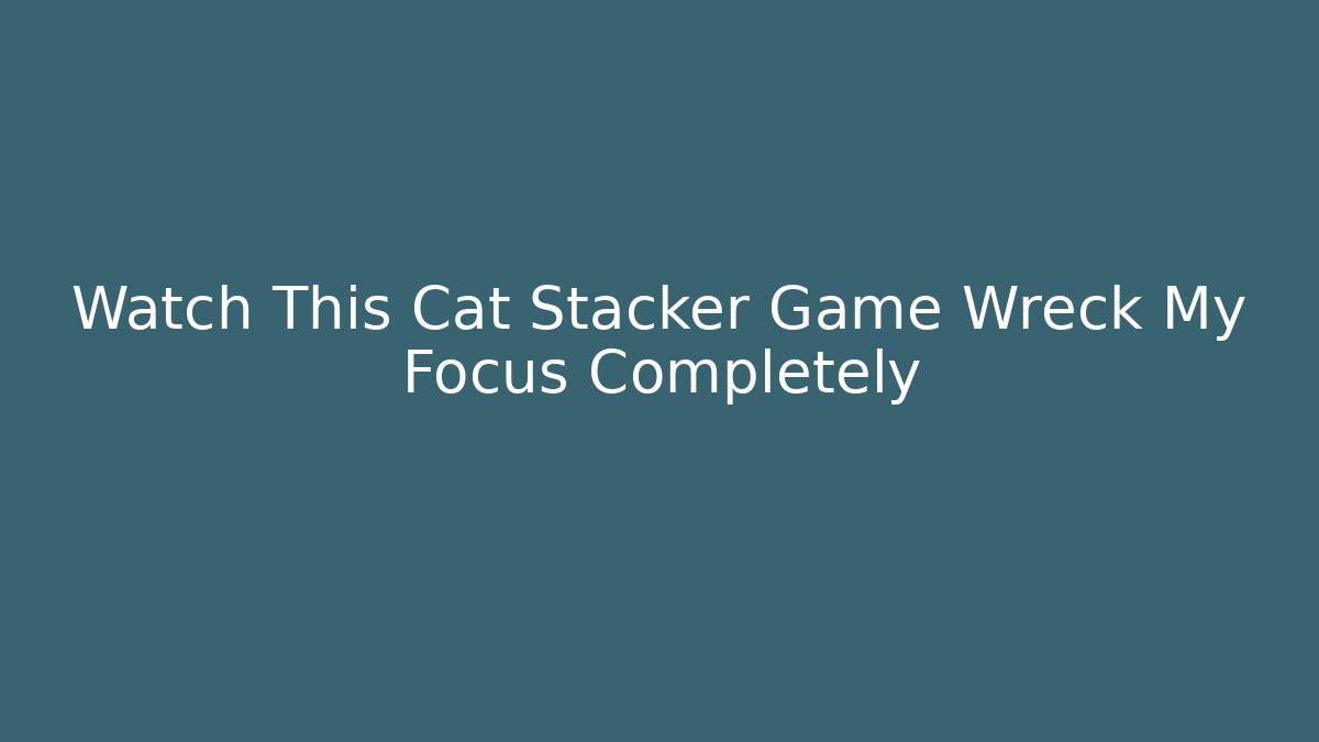 Watch This Cat Stacker Game Wreck My Focus Completely