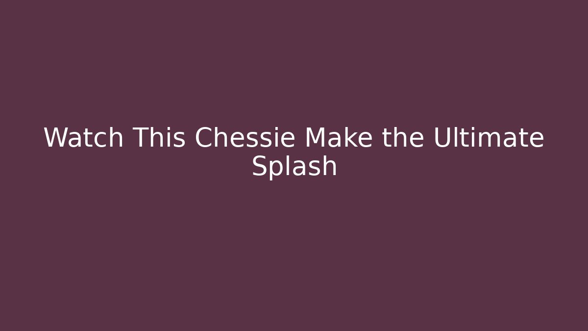Watch This Chessie Make the Ultimate Splash