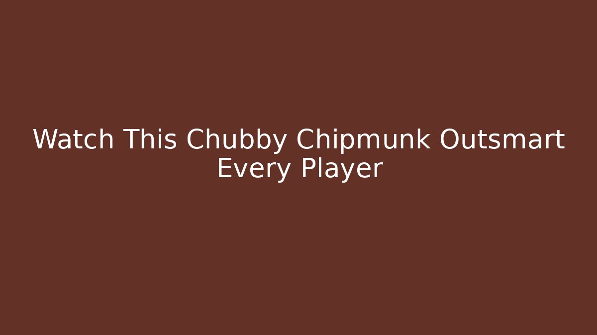 Watch This Chubby Chipmunk Outsmart Every Player - Critter Realm