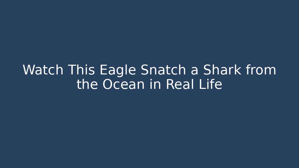 Watch This Eagle Snatch a Shark from the Ocean in Real Life