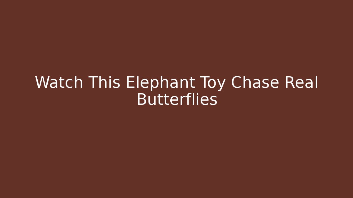 Watch This Elephant Toy Chase Real Butterflies