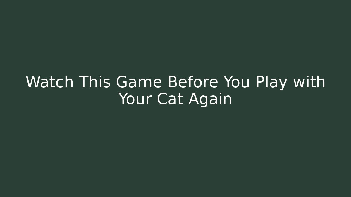 Watch This Game Before You Play with Your Cat Again