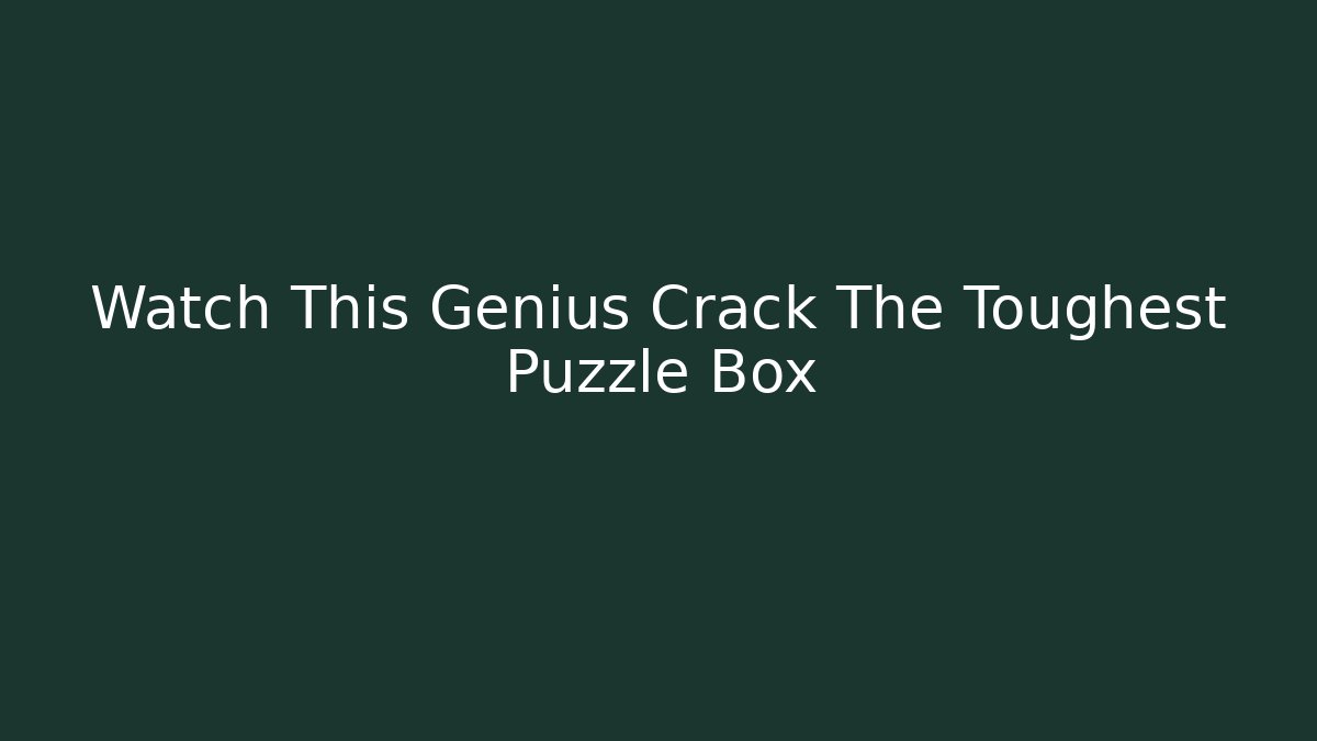 Watch This Genius Crack The Toughest Puzzle Box - Critter Realm