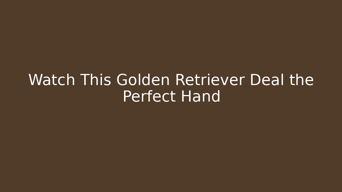 Watch This Golden Retriever Deal the Perfect Hand