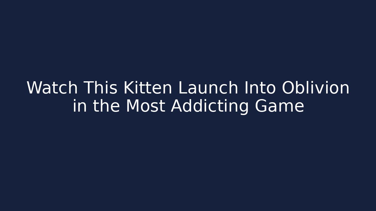 Watch This Kitten Launch Into Oblivion in the Most Addicting Game