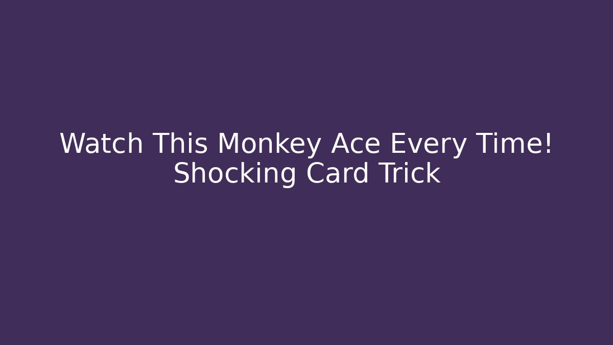 Watch This Monkey Ace Every Time! Shocking Card Trick - Critter Realm