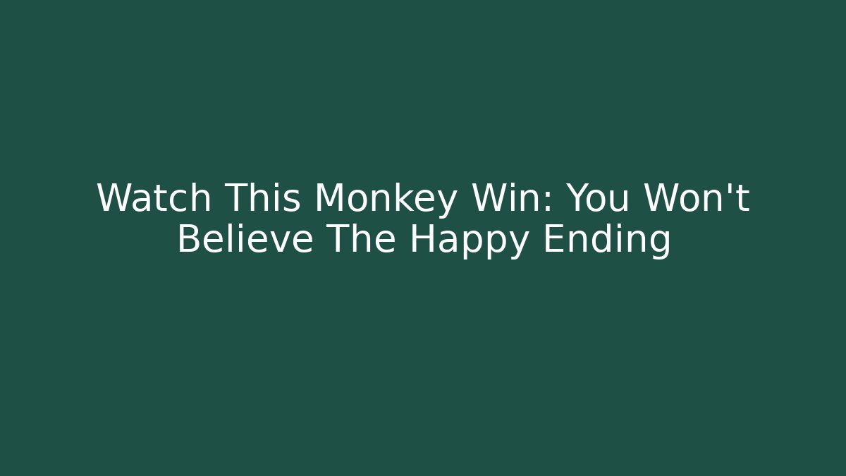 Watch This Monkey Win: You Won’t Believe The Happy Ending