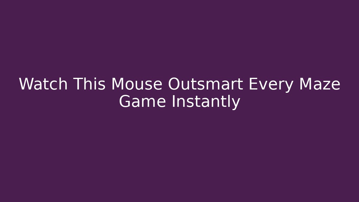 Watch This Mouse Outsmart Every Maze Game Instantly