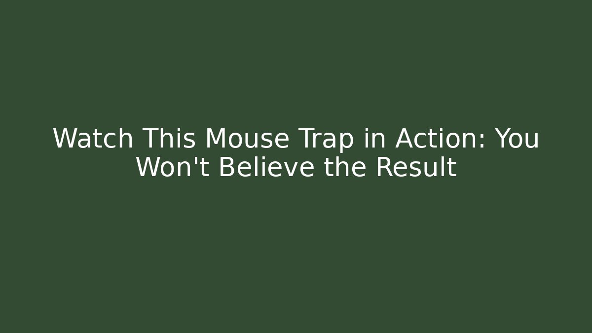 Watch This Mouse Trap in Action: You Won’t Believe the Result