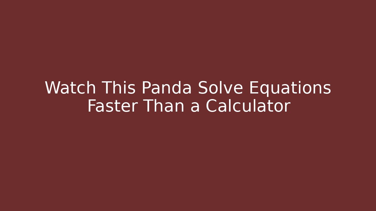 Watch This Panda Solve Equations Faster Than a Calculator - Critter Realm