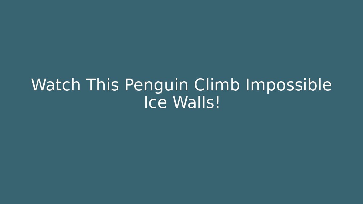 Watch This Penguin Climb Impossible Ice Walls!