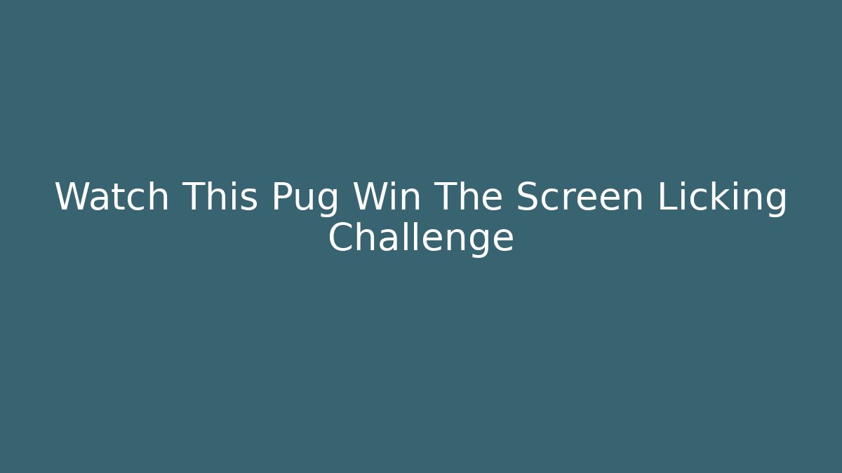 Watch This Pug Win The Screen Licking Challenge - Critter Realm