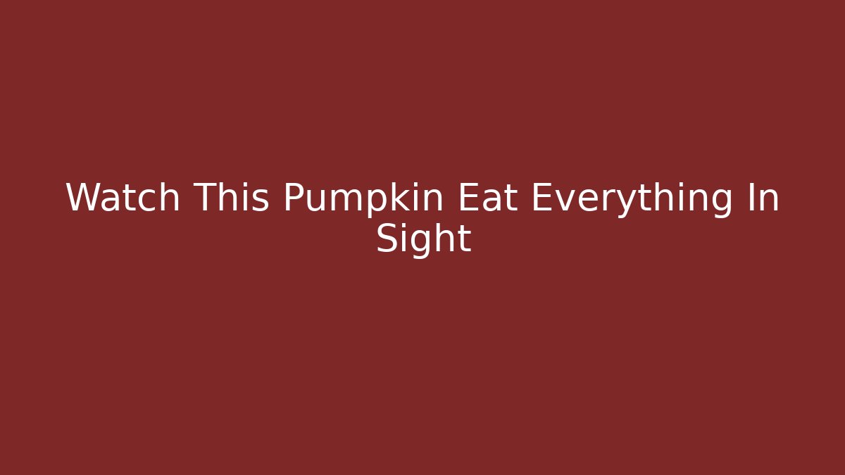 Watch This Pumpkin Eat Everything In Sight - Critter Realm