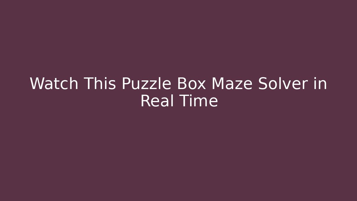 Watch This Puzzle Box Maze Solver in Real Time - Critter Realm