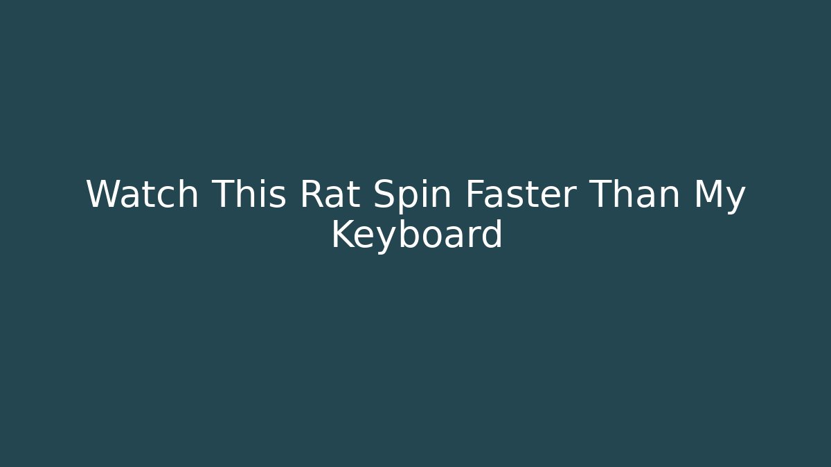 Watch This Rat Spin Faster Than My Keyboard