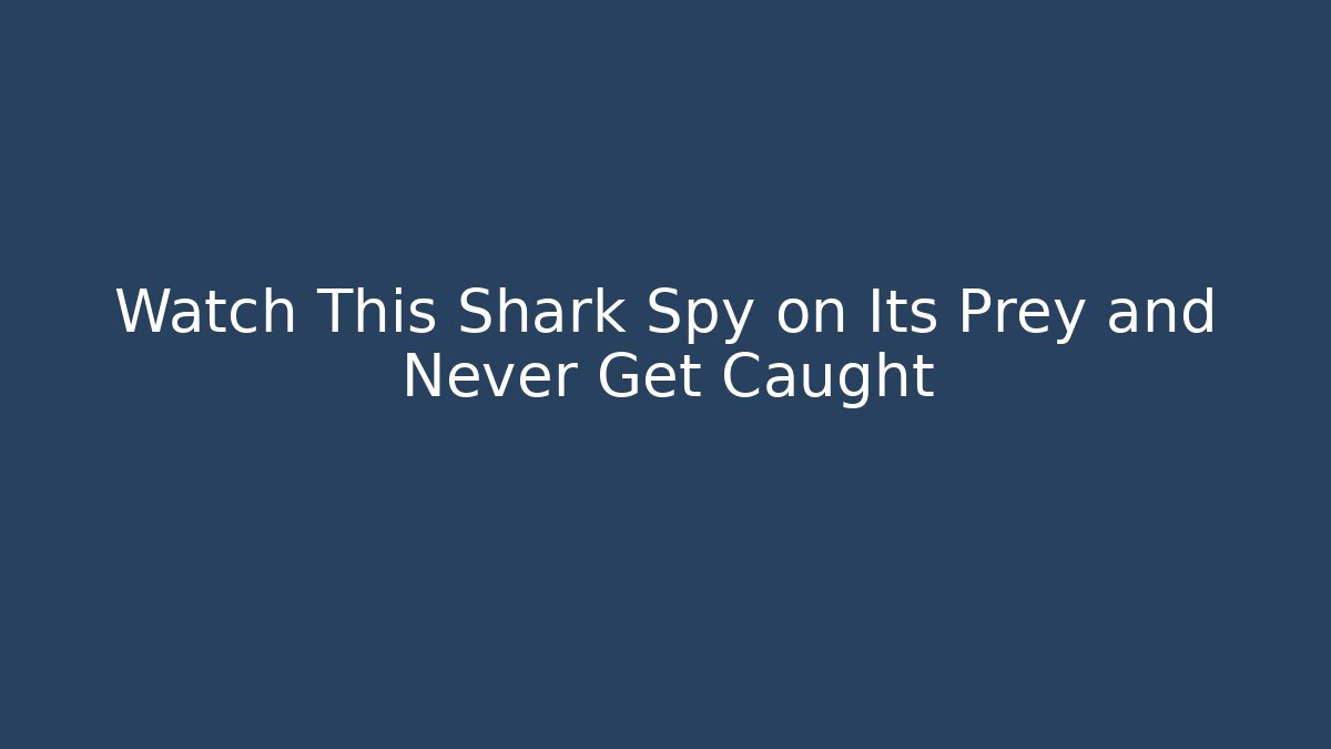 Watch This Shark Spy on Its Prey and Never Get Caught