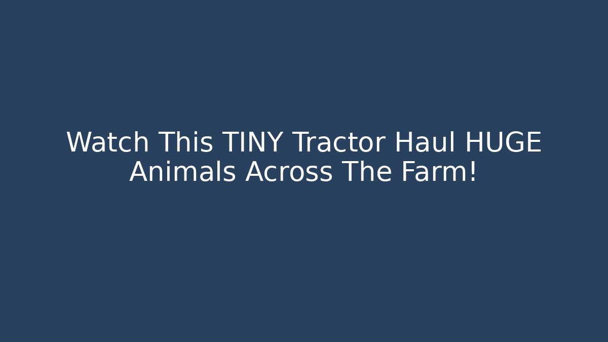 Watch This TINY Tractor Haul HUGE Animals Across The Farm!