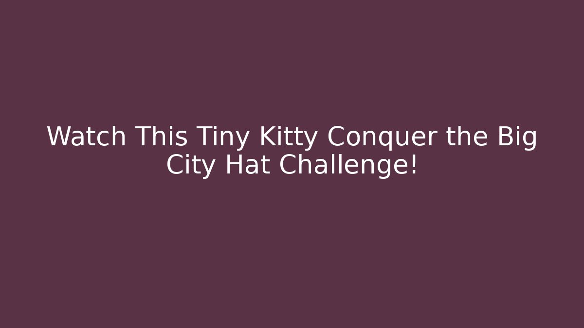 Watch This Tiny Kitty Conquer the Big City Hat Challenge!