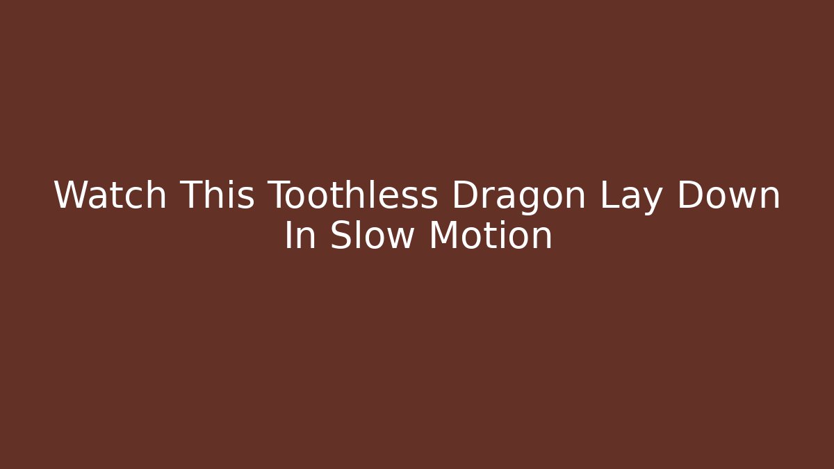 Watch This Toothless Dragon Lay Down In Slow Motion