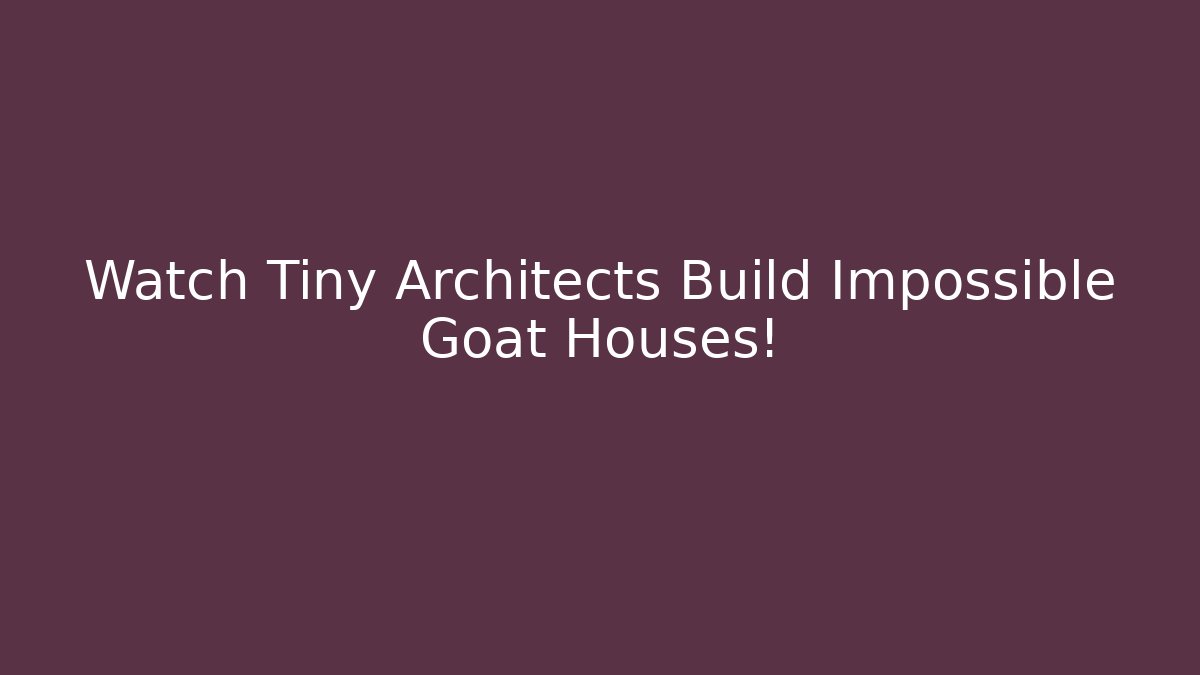 Watch Tiny Architects Build Impossible Goat Houses!