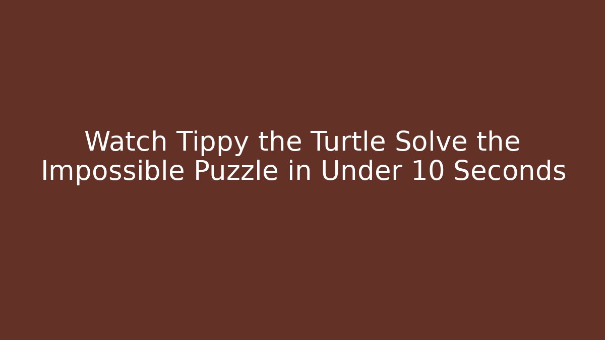 Watch Tippy the Turtle Solve the Impossible Puzzle in Under 10 Seconds