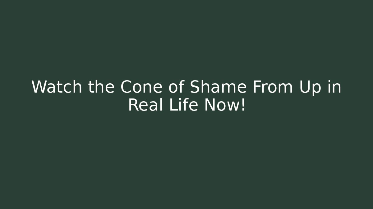 Watch the Cone of Shame From Up in Real Life Now!