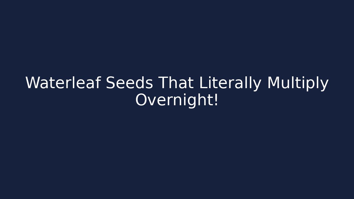 Waterleaf Seeds That Literally Multiply Overnight! - Critter Realm